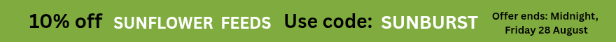 Discount offer banner image